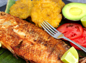 Mojarra Dorada