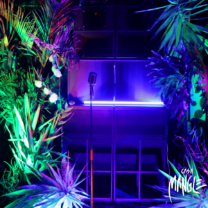 Alquiler de Sonido y Sound System